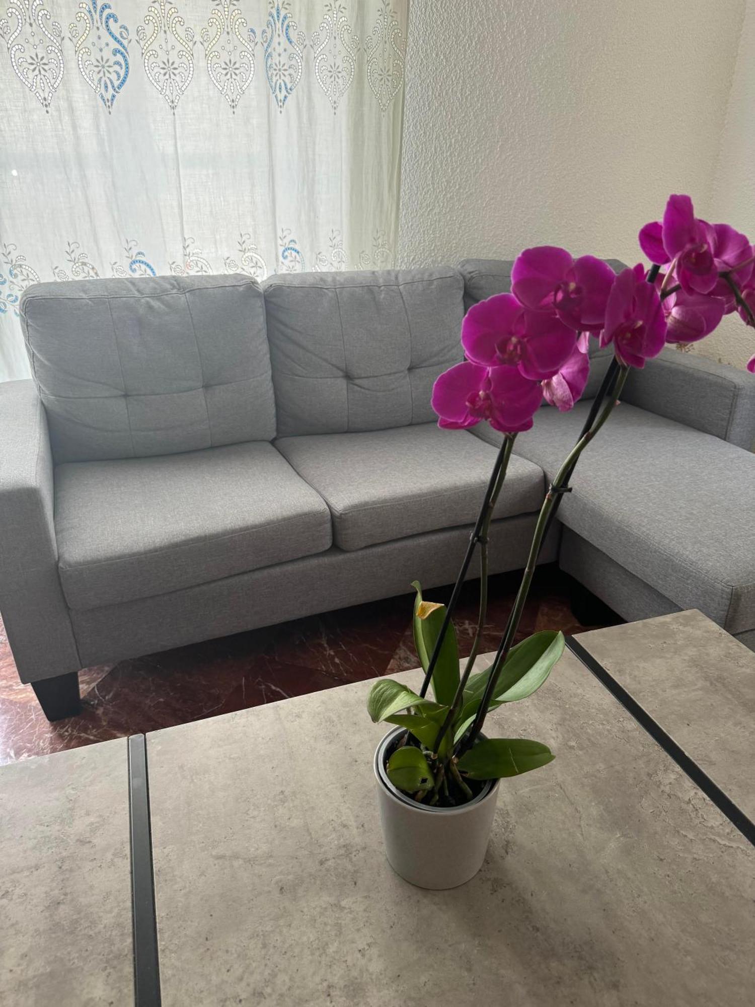 Mare Naxia Hotel Naxos City 외부 사진